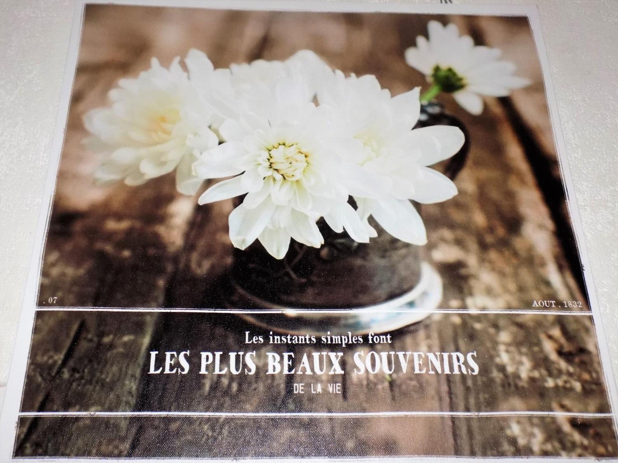 Saint Georges De Didonne - Studio Cabine - Residence Boisee Proche Plage Bagian luar foto